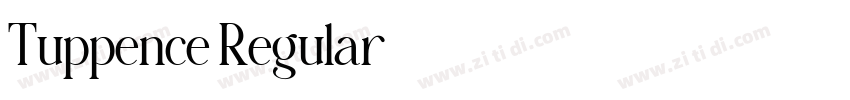 Tuppence Regular字体转换